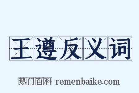 王遵反义词是什么意思的图片